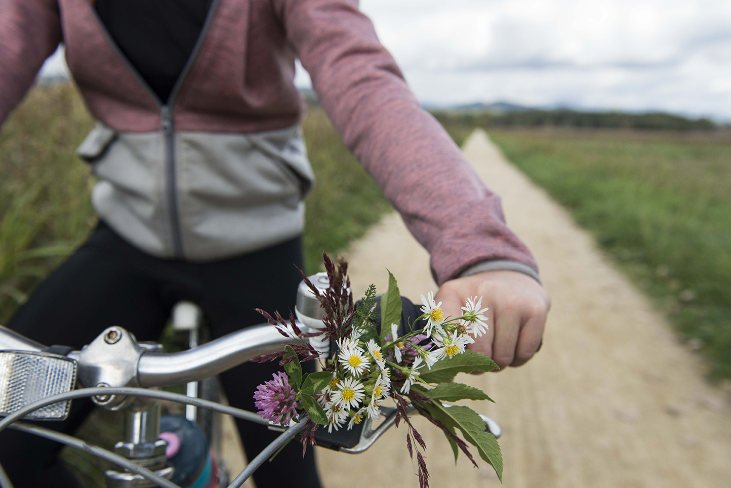 bicicleta natura flors manillar catalunya ruta